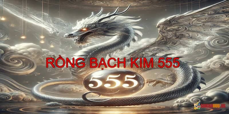 Bí quyết soi cầu rồng bạch kim 555