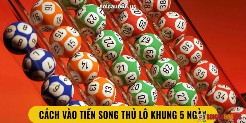 Cách nuôi song thủ lô nuôi khung 5 ngày chuẩn cao thủ