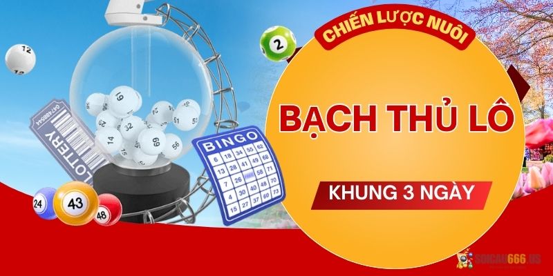 Cách chia tỷ lệ vốn và số điểm khi nuôi lô khung