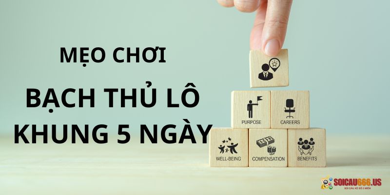 Mẹo chơi bạch thủ lô nuôi khung 5 ngày bất bại