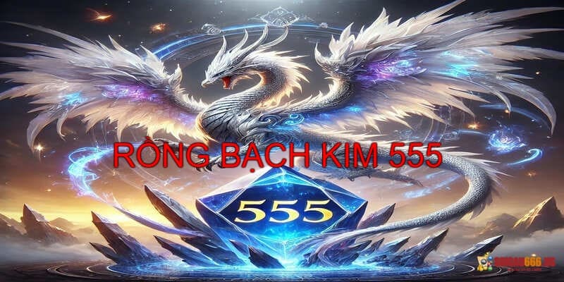 Ưu điểm soi cầu rồng bạch kim 555