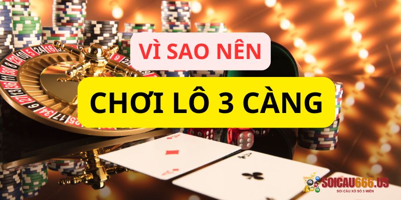 Tỷ lệ thắng cao, thưởng lớn - Lý do bạn nên thử chơi lô 3 càng