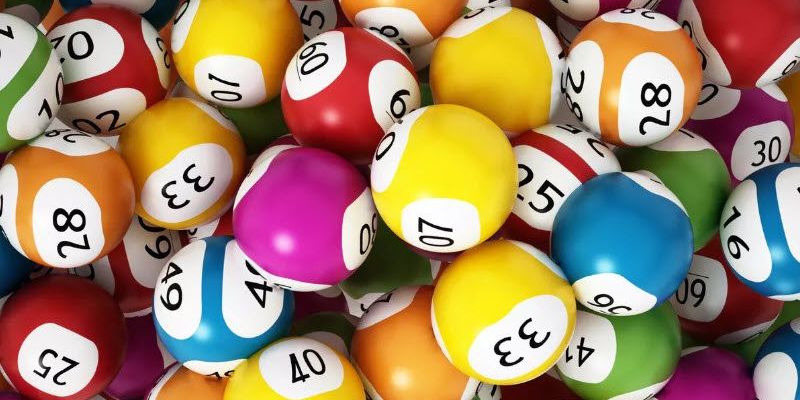 Bí Kíp Nuôi Đầu Đuôi Khung 1 Ngày Hiệu Quả